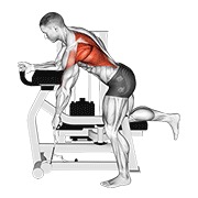 ท่า Lever Unilateral Row