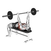 ท่า Barbell Bent Arm Pullover