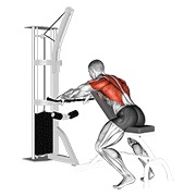 ท่า Cable Incline Bench Row