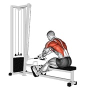 ท่า Cable Rope Crossover Seated Row