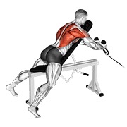 ท่า Cable Rope Extension Incline Bench Row