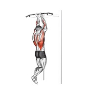 ท่า Close Grip Chin-up