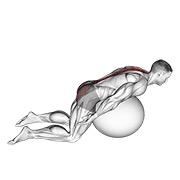 ท่า Exercise Ball Back Extension With Arms Extended