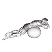 ท่า Exercise Ball Back Extension With Hands Behind Head