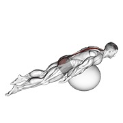 ท่า Exercise Ball Back Extension With Knees Off Ground