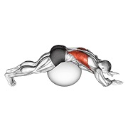 ท่า Exercise Ball Lower Back Stretch (pyramid)