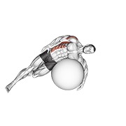 ท่า Exercise Ball Lying Side Lat Stretch