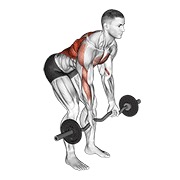 ท่า Ez Bar Reverse Grip Bent Over Row