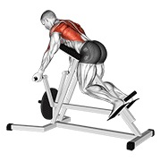 ท่า Lever Reverse T-bar Row