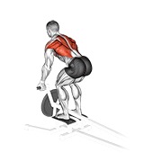 ท่า Lever T-bar Reverse Grip Row