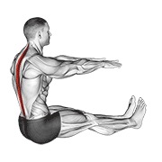 ท่า Spine Stretch