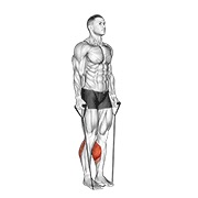ท่า Band Two Legs Calf Raise - (band Under Both Legs) V. 2