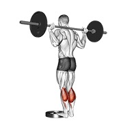 ท่า Barbell Standing Calf Raise
