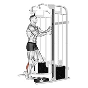 ท่า Cable Standing One Leg Calf Raise
