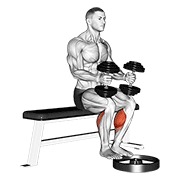 ท่า Dumbbell Seated Calf Raise
