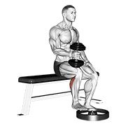ท่า Dumbbell Seated One Leg Calf Raise - Hammer Grip