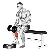 ท่า Dumbbell Seated One Leg Calf Raise - Palm Up