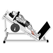 ท่า Hack Calf Raise