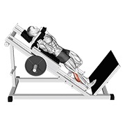 ท่า Hack One Leg Calf Raise