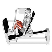 ท่า Lever Seated Squat Calf Raise On Leg Press Machine