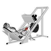 ท่า Sled One Leg Calf Press On Leg Press