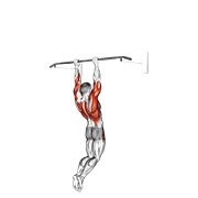 ท่า Muscle-up (on Vertical Bar)
