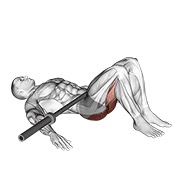 ท่า Barbell Glute Bridge