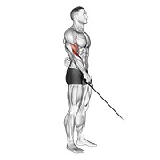 ท่า Cable Reverse One Arm Curl