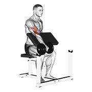 ท่า Dumbbell One Arm Reverse Preacher Curl