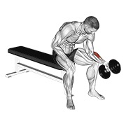 ท่า Dumbbell One Arm Seated Neutral Wrist Curl