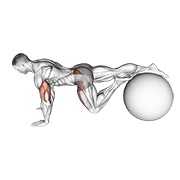 ท่า Exercise Ball One Leg Prone Lower Body Rotation
