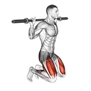 ท่า Kneeling Jump Squat