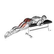ท่า Reverse Hyper On Flat Bench