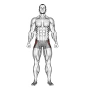 ท่า Straight Leg Outer Hip Abductor