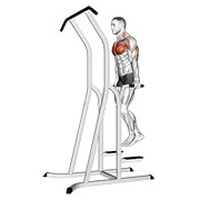 ท่า Chest Dip (on Dip-pull-up Cage)