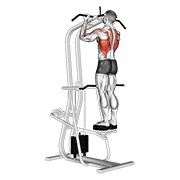 ท่า Assisted Standing Chin-up