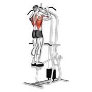 ท่า Assisted Standing Pull-up
