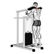 ท่า Lever Gripless Shrug V. 2