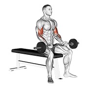 ท่า Ez Barbell Seated Curls