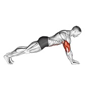 ท่า Push-up On Lower Arms
