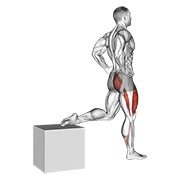 ท่า One Leg Squat