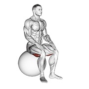 ท่า Exercise Ball Seated Hamstring Stretch
