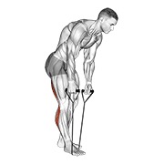 ท่า Standing Hamstring And Calf Stretch With Strap