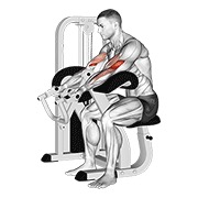 ท่า Lever Preacher Curl V. 2