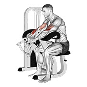 ท่า Lever Reverse Grip Preacher Curl