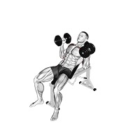 ท่า Dumbbell Palms In Incline Bench Press