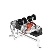 ท่า Dumbbell Reverse Bench Press