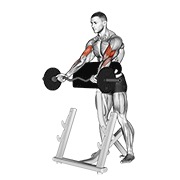 ท่า Ez Barbell Spider Curl