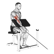 ท่า Cable One Arm Preacher Curl