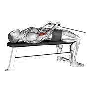 ท่า Cable Lying Bicep Curl